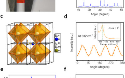 Metal contact and carrier transport in single crystalline CH 3 NH 3 PbBr 3 perovskite