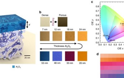 Scalable, ultra-resistant structural colors based on network metamaterials