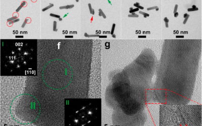 Au Nanorod–Au Nanoparticle Dimers
